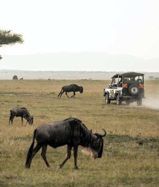 Masai Mara