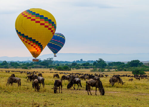 Masai Mara